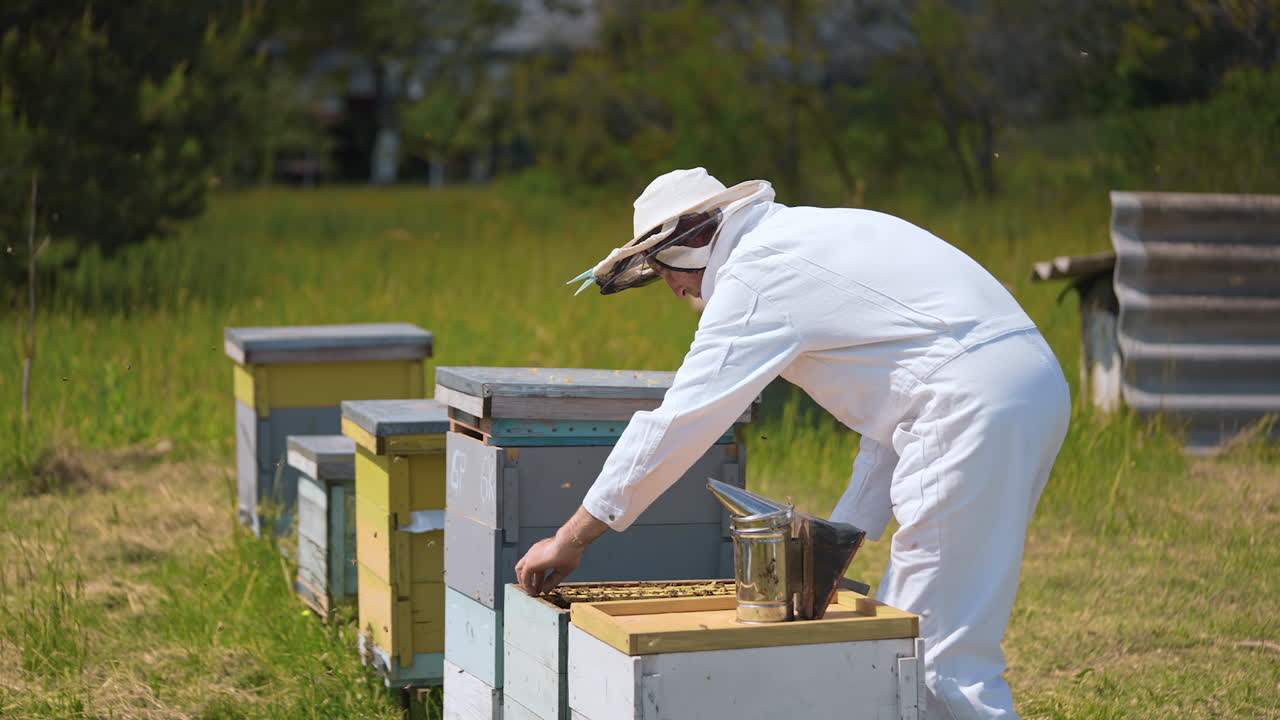 Beekeeper works near hives in summer. Male apiarist in protective white suit inspecting bees in beehive on green nature background.