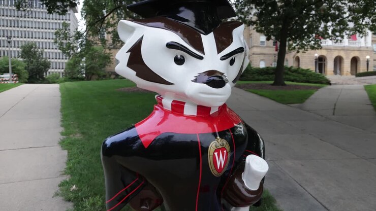 Statua della mascotte Bucky Badger che tiene un diploma nel campus dell'Università del Wisconsin a Madison, Wisconsin, con ripresa da gimbal che avanza