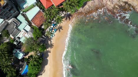 top down tropical beach shot form drone with palm trees and turquoise water