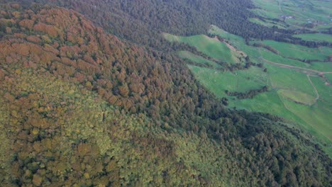 Erstaunlich-üppige-Waldberge-Und-Grüne-Ebenen-Bei-Wairere-Falls,-Kaimai-Range-In-Okauia,-Neuseeland