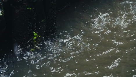 close-up and slow motion splashing raindrops captured on river surface