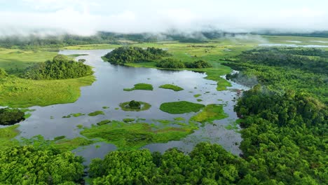 aerial view of a lush tropical lake surrounded by rainforest