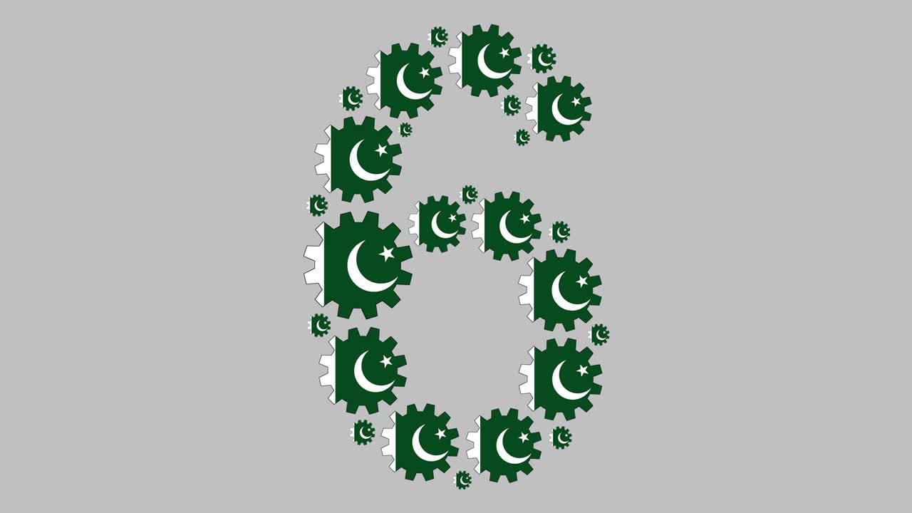 Pakistani number six
