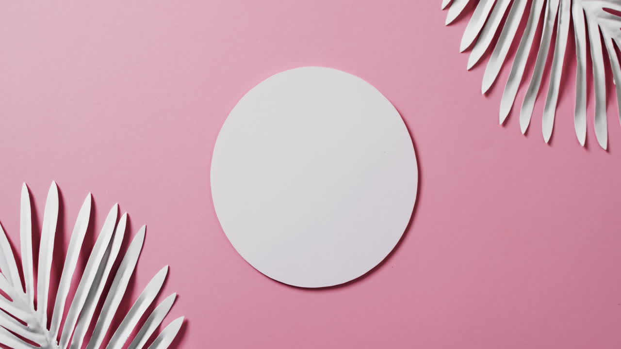 video de hojas de plantas blancas y círculo blanco con espacio de copia en fondo rosa