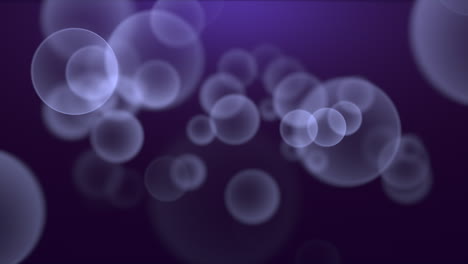 Motion-and-fly-purple-particles-and-round-bokeh-on-dark-background