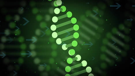 dna strand with arrows, genetic research animation in lab setting