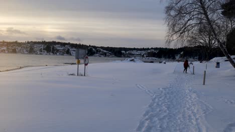 Woman-walking-in-a-snowy-landscape