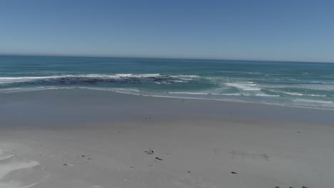 melkbos strand along the cape west coast