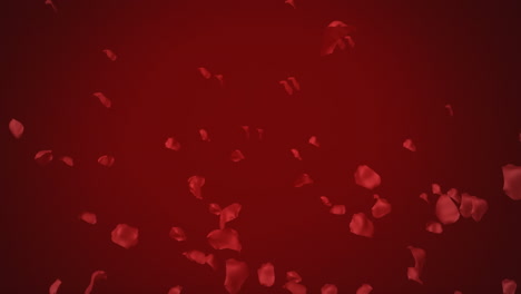 animation of rose petals on red background