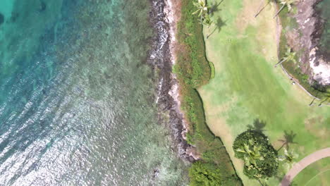 top down view on napili bay, turquoise water maui coast, hawaii, usa