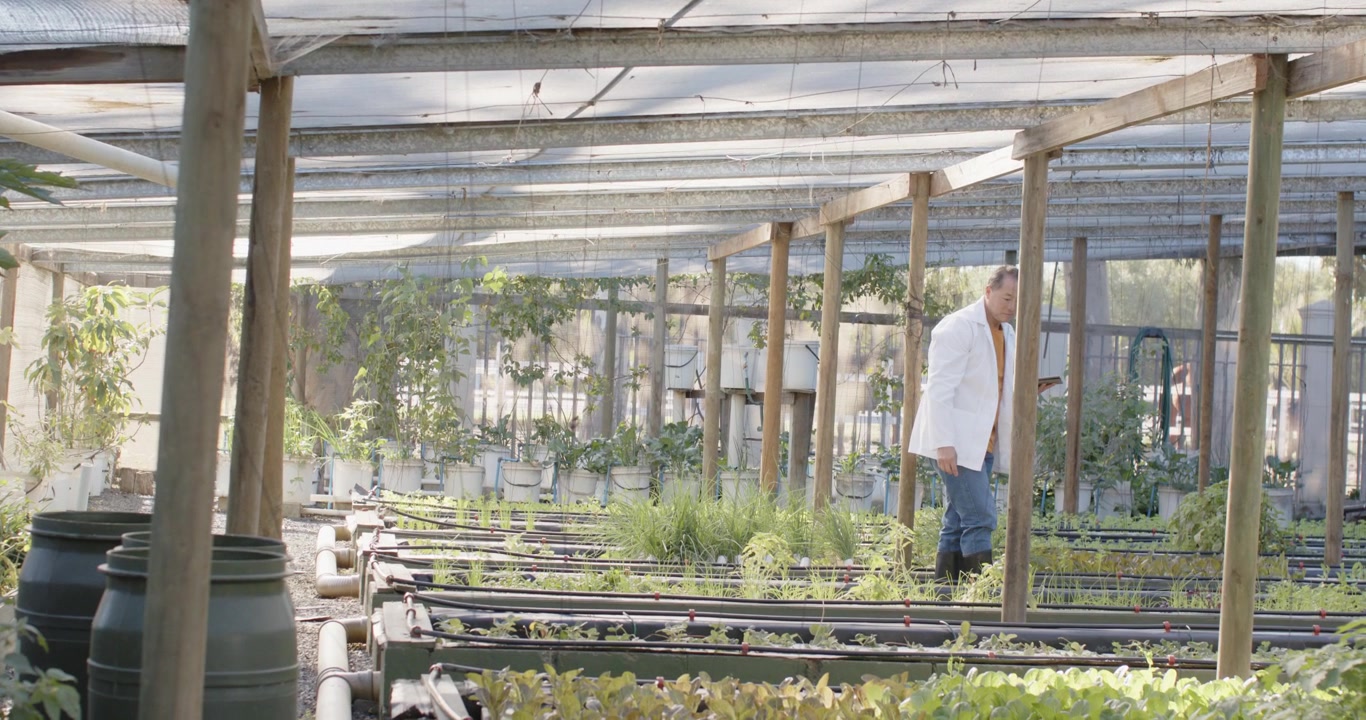 Midaldrende kvinde i laboratoriekittel efter enhedsadvarsel, tjekker trug i drivhus, med plads til tekst.