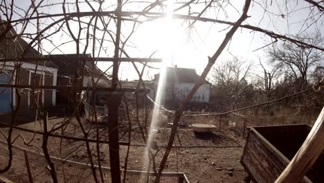 in early spring a few chickens going to chicken coop