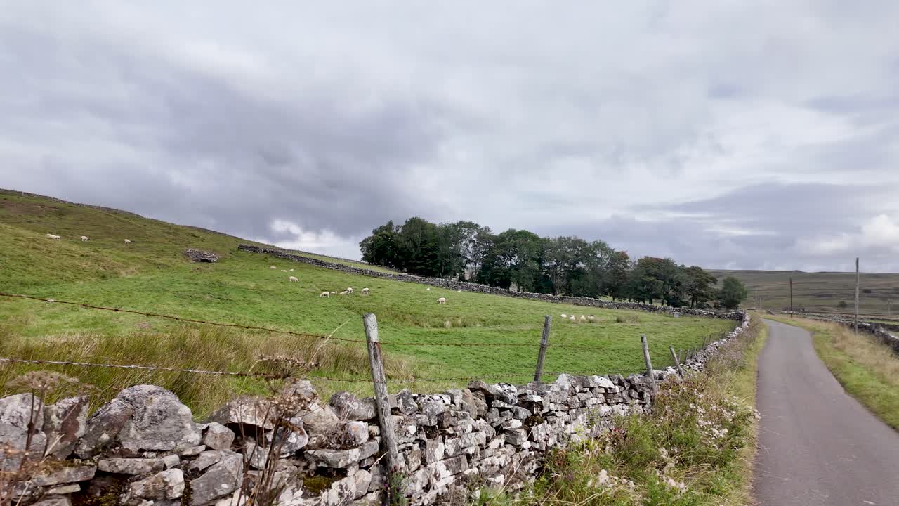 Typical landscape of North Pennines National Landscape with sheep grazing near a country road and a stone wall