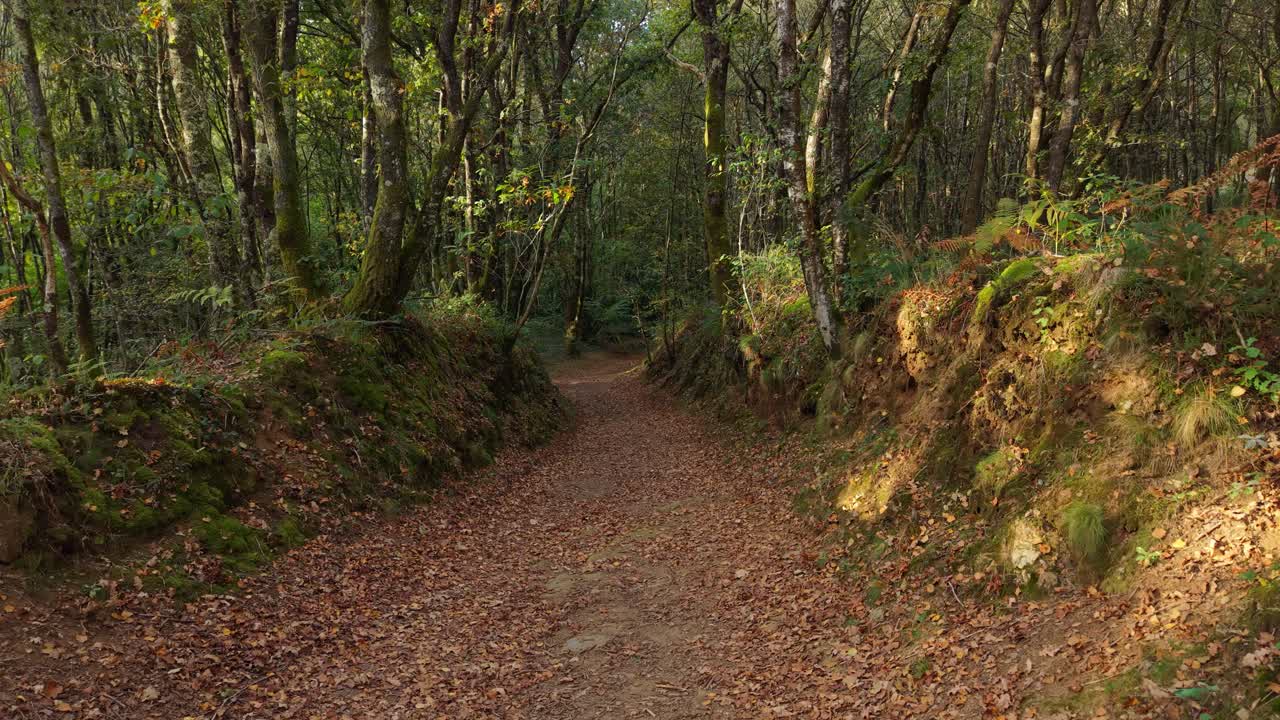 Empty Footpath In The Wilderness Of Ruta dos muiños do Rego das Gandaras, A Coruna, Spain. Dolly Shot