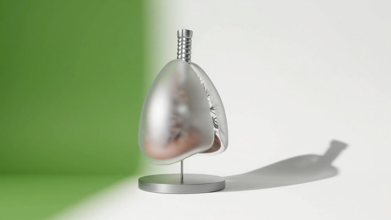 Detailed 3D Model of Human Lungs: Anatomical Representation Showcasing Structure, Function, and Aesthetic in Two Frames for Educational Purposes and Visualization.