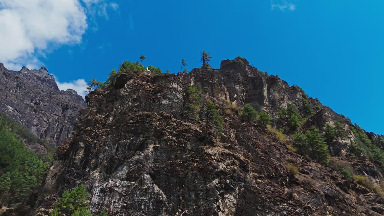 Marvel at the stunning contrast of dark rocky Himalayan mountains and vibrant green trees—raw beauty and color in perfect harmony.