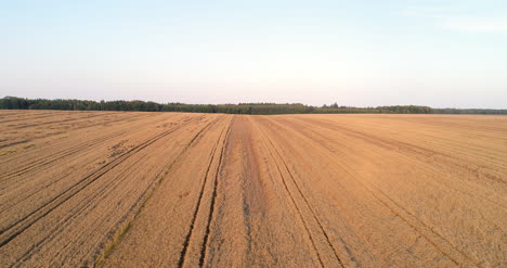 Fliegen-über-Weizenfeld-Landwirtschaft-9