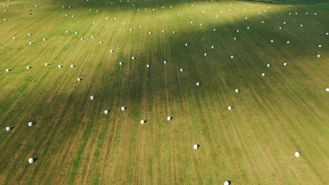 agricultural field with white hay rolls wrapped in package for storage