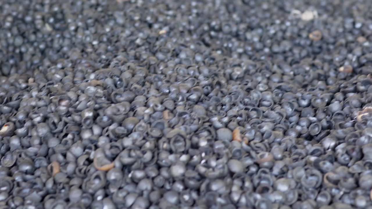 마카다미아 넛 껍질을 숯불로 태워 비료로 사용