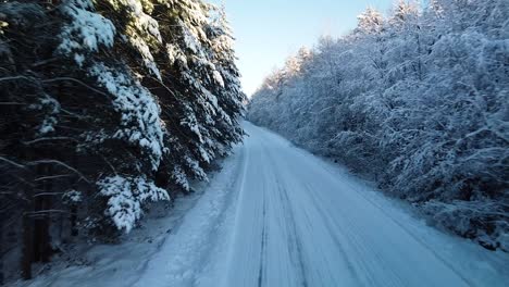 beautiful scenic aerial view of a winter forest in sunny winter day, trees covered with fresh snow, ice and snow covered road, wide angle drone shot moving backwards over the road