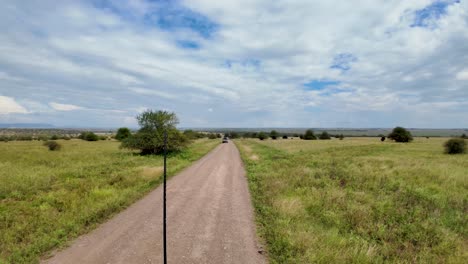 aventura emocionante: el movimiento de 4x4 suvs en safari
