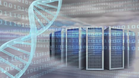 Spinnende-DNA-Mit-Datenserver-Und-Binärcodes