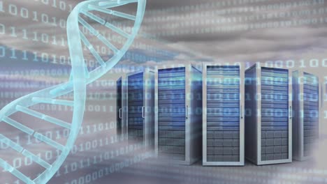 spinning dna with data server and binary codes