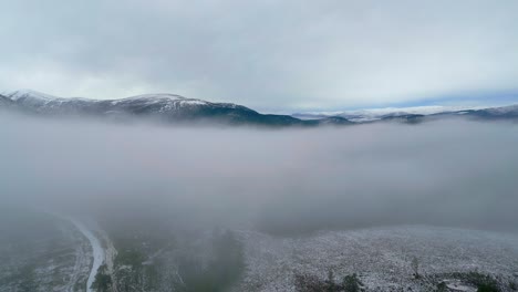 hazy day in winter landscape