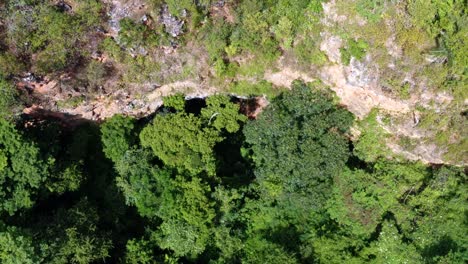 toma aérea de drones ascendentes de la entrada de la cueva al pozo encantado o poço encantado rodeado de árboles tropicales, plantas y acantilados en el parque nacional chapada diamantina en el norte de brasil