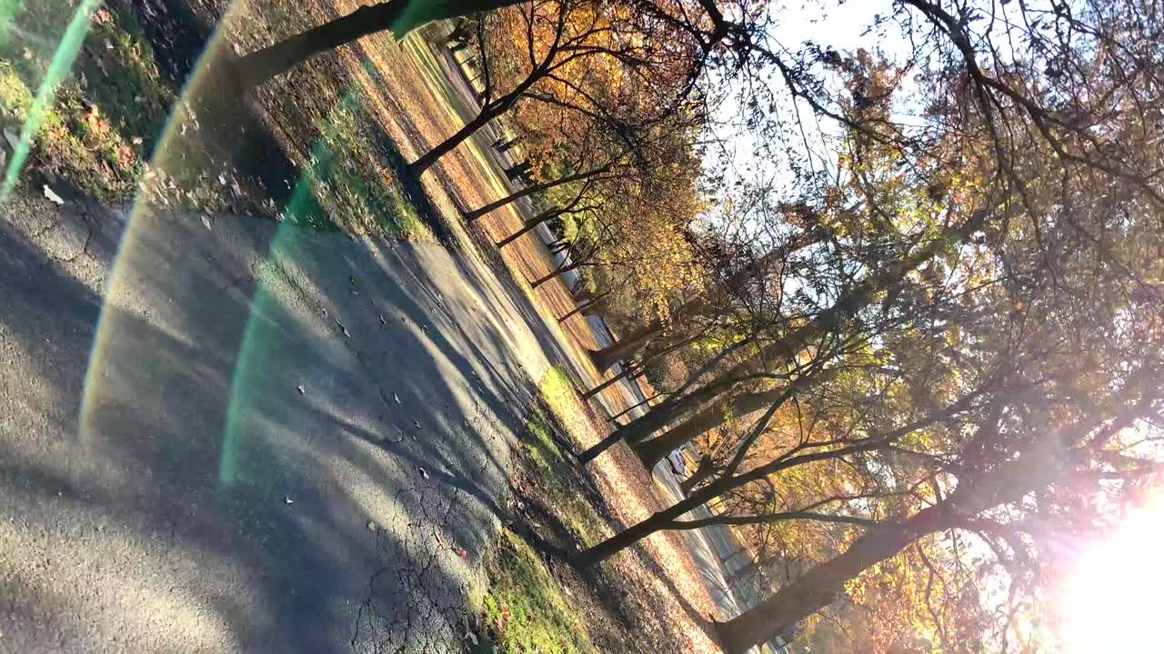 rollo de barril vista de paseo solitario a través del hermoso parque de otoño