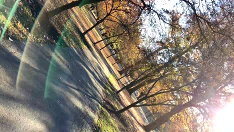 barrel roll view of lonely walk through beautiful autumn park