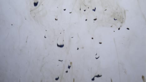 dejando caer colores de aceite en el agua