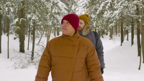 three friends in winter clothes walking in a winter forest