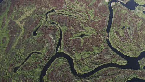 excellent aerial shot of the kissimmee river in florida