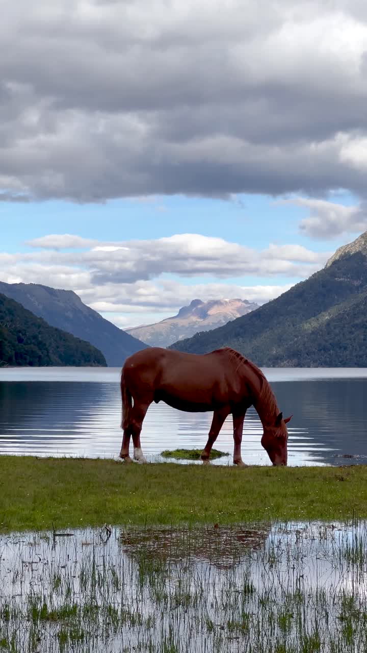 A horse grazing near a serene lake surrounded by mountains in Patagonia's tranquil nature