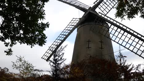 Bidston-Hill-Vintage-Campo-Molino-De-Viento-Molino-Harinero-Hito-Inglés-Dolly-Vista-Derecha-Desde-Arbustos