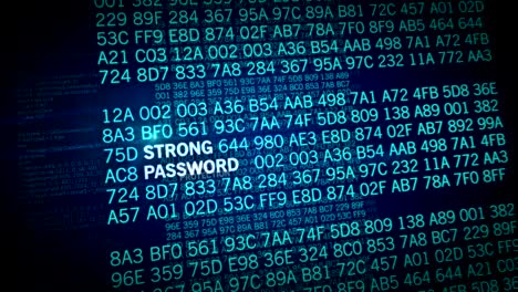 Cyber security concept animation w2 4K