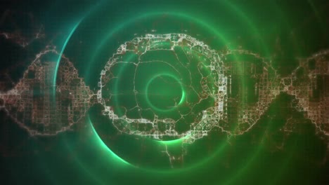 Animation-of-human-brain-icon-spinning-over-concentric-circles-against-glowing-green-background