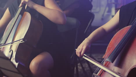 female cello player playing violoncello. woman hand playing cello