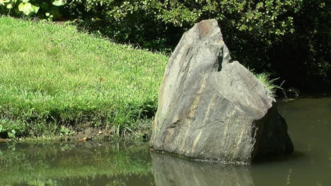 roca decorativa se encuentra cerca del borde de un estanque