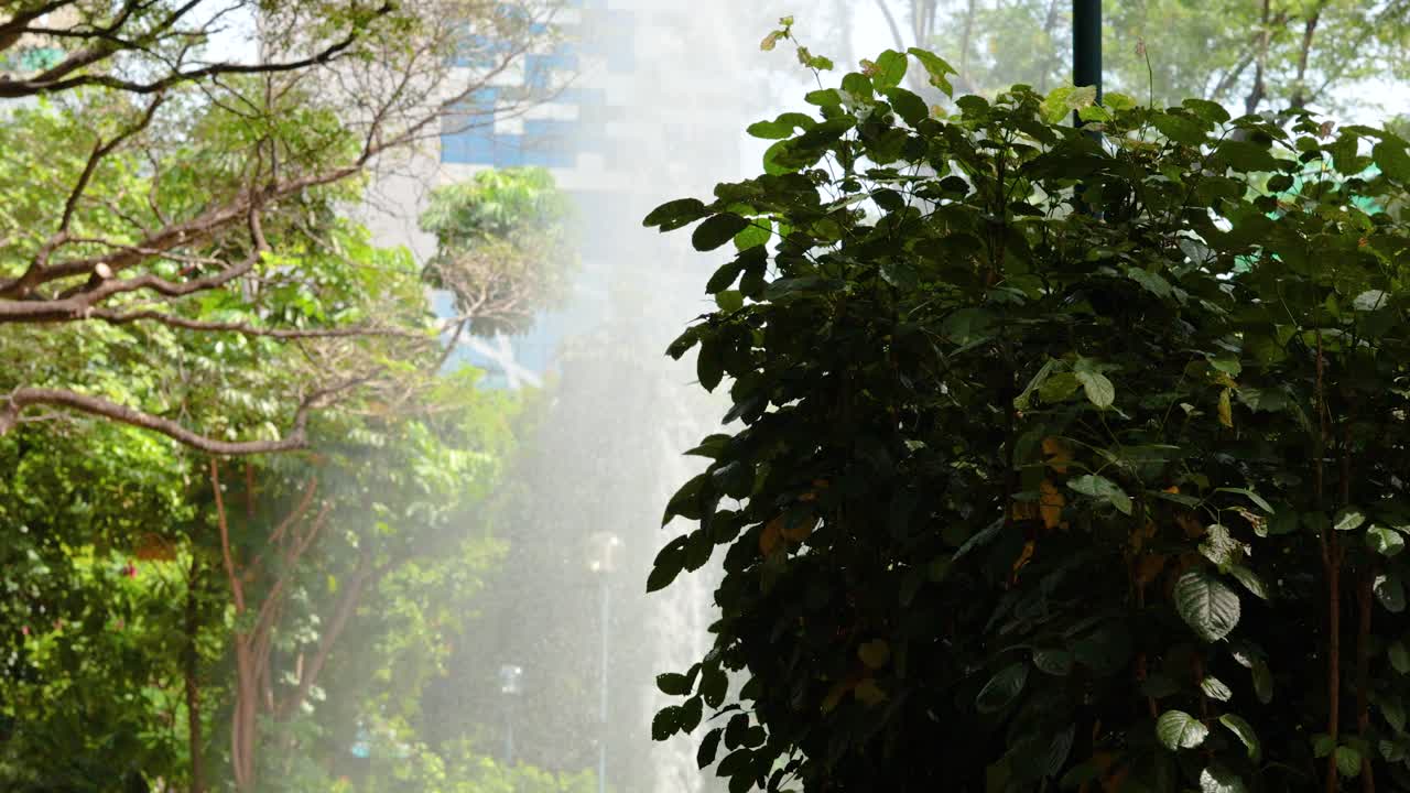 vegetación exuberante con una fuente en el fondo