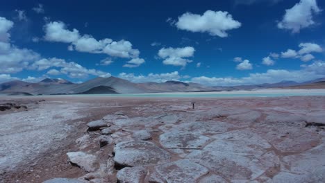 piedras rojas with red rocks near san pedro de atacama in chile, south america