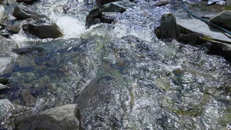 water flowing between the stones of a river in a canyon