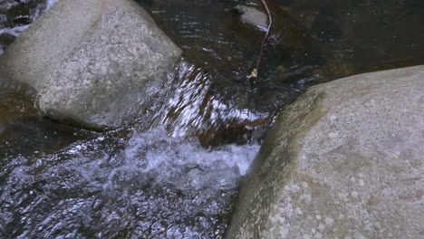 forest river running - water flows between two rocks - 4k background