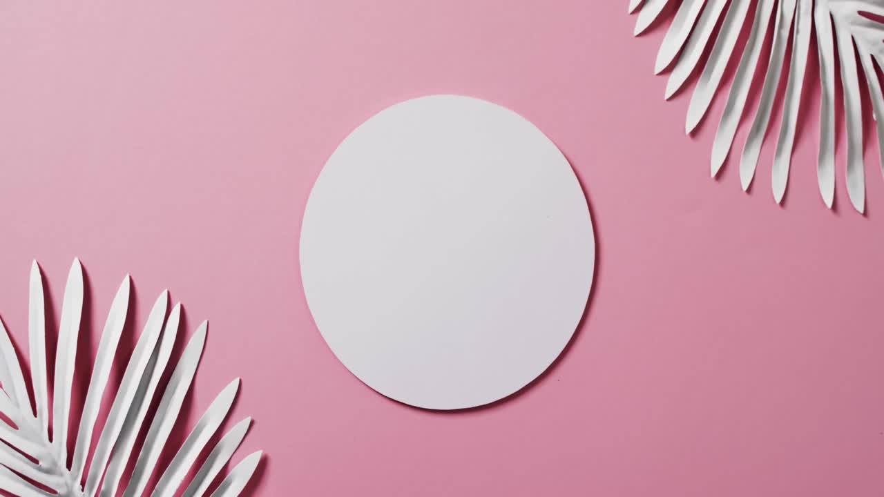 video de hojas de plantas blancas y círculo blanco con espacio de copia en fondo rosa