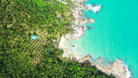 beautiful seaside with palm trees forest near rocky coastline of tropical island washed by turquoise lagoon in thailand