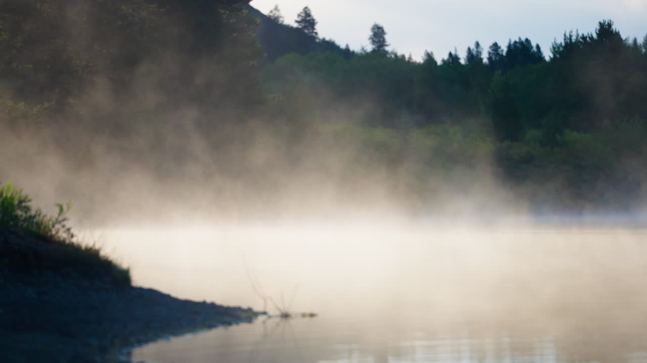 강에 안개 낀 아침