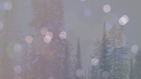 video of winter landscape and spots of glowing lights
