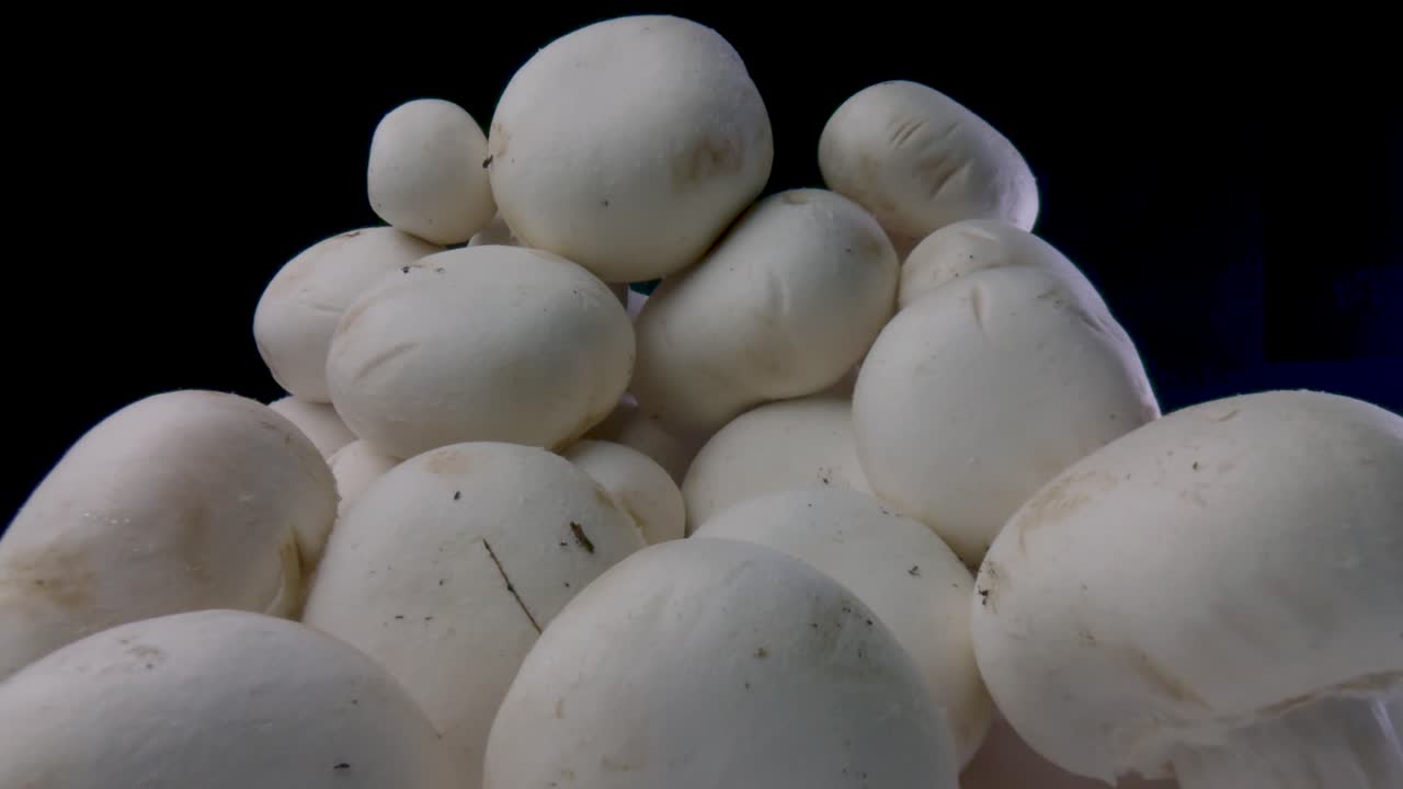 Macro slide champignon mushrooms on a black background. Probe lens dolly shot. Organic food concept. The camera moving through a pile of mushrooms. Close-up. Type D.