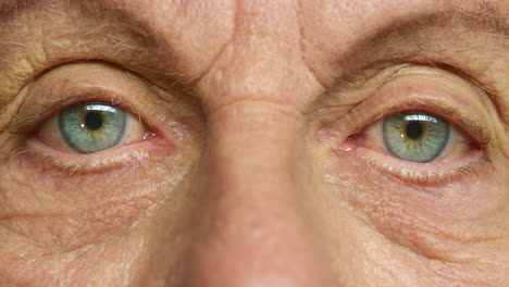 close-up of an elderly person's eyes